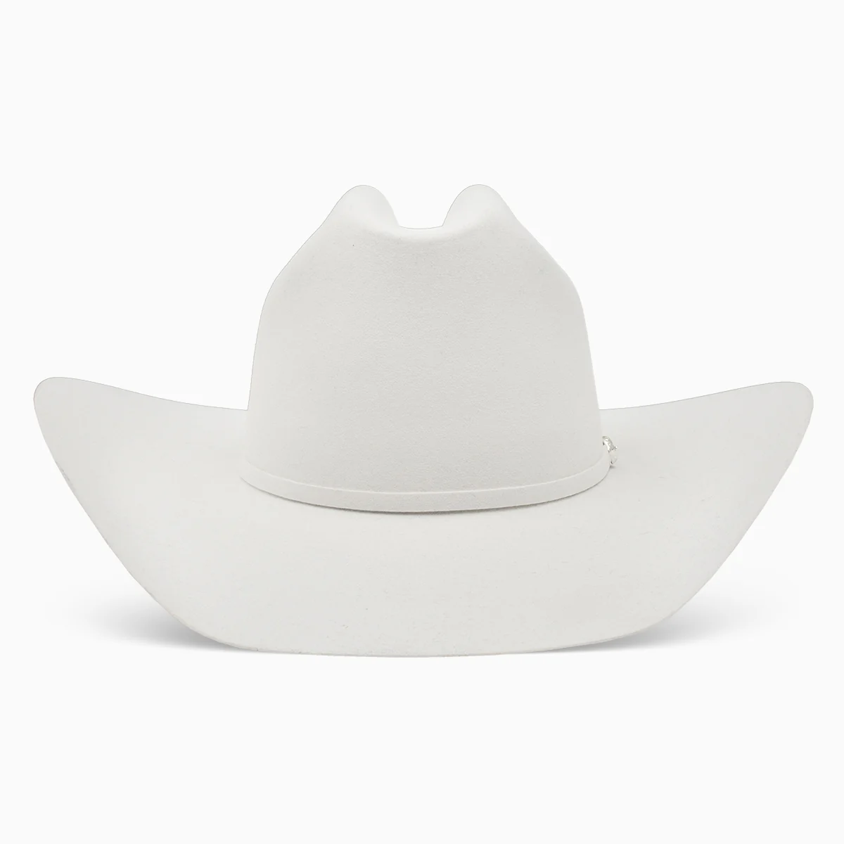 40X Arena Cowboy Hat - Image 3