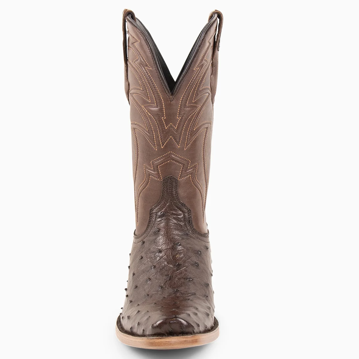 Brown Full Quill Ostrich - Cutter - Image 4