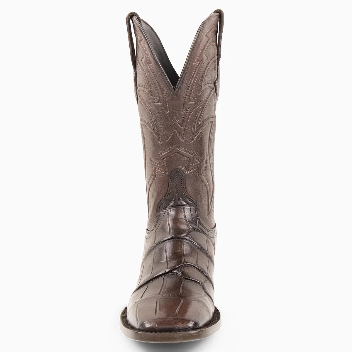 Brown Alligator - Square - Image 3