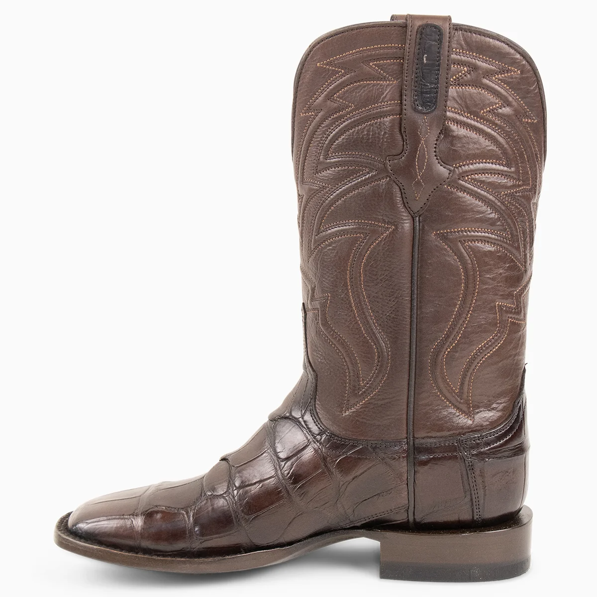 Brown Alligator - Square - Image 6