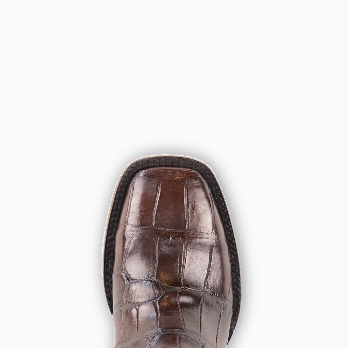 Brown Alligator - Square - Image 7
