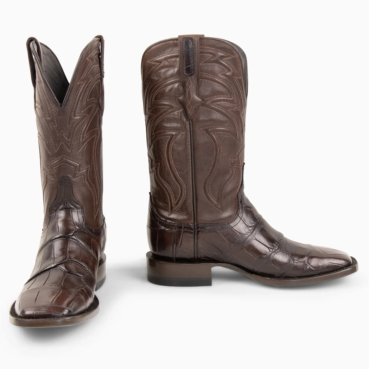 Brown Alligator - Square - Image 8
