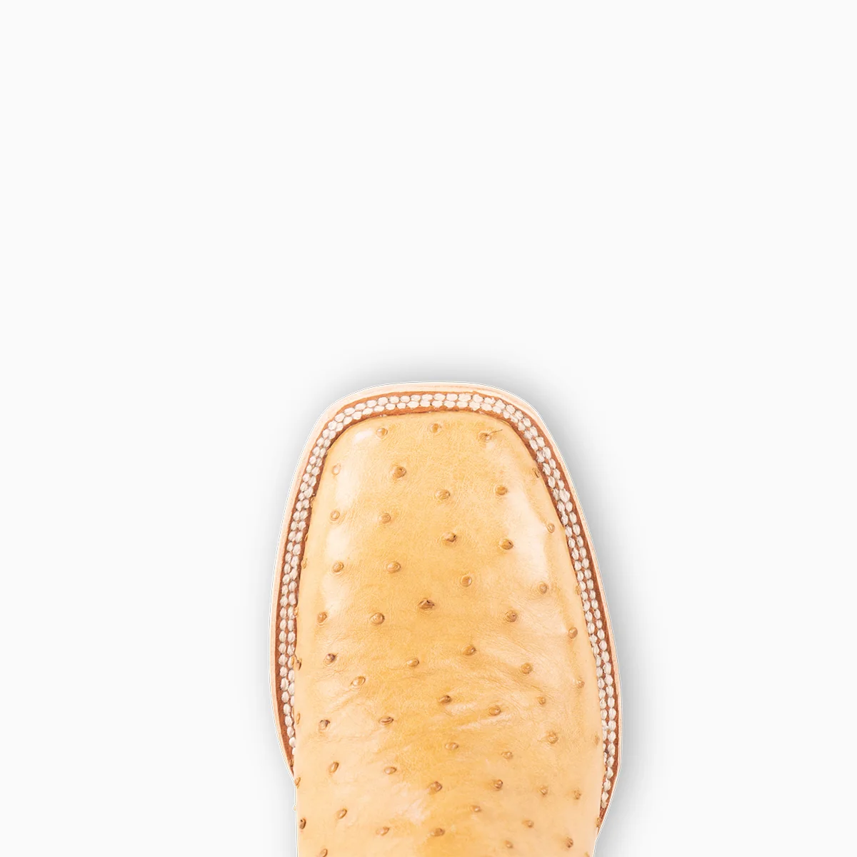Saddle Tan Full Quill Ostrich - Square - Image 6